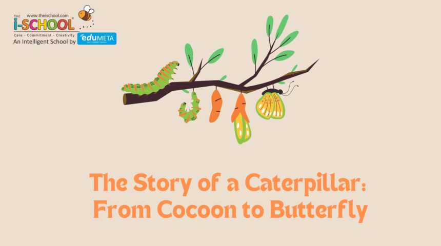 The Story of a Caterpillar: From Cocoon to Butterfly